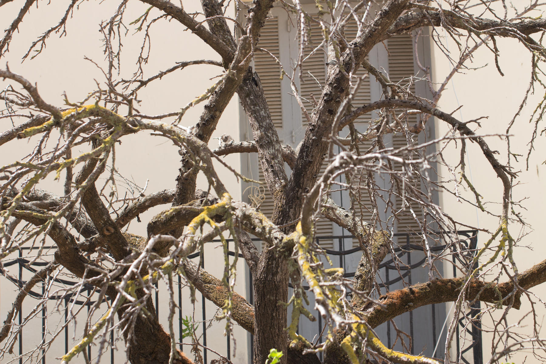 2017-2023 Copyright © brendamiller