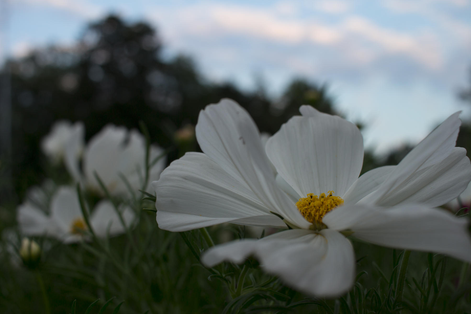 2017-2023 Copyright © brendamiller